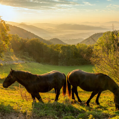 Slovenia Photography Tour and Workshop - Julian Alps